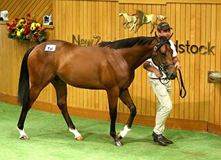 Lot 10 O'Reilly - Volkrose sold for $825,000 on Day One of the Premier Sale. Photo: Trish Dunell. 